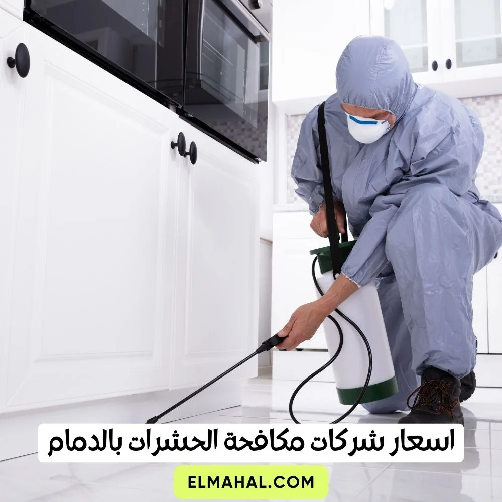 اسعار شركات مكافحة الحشرات بالدمام